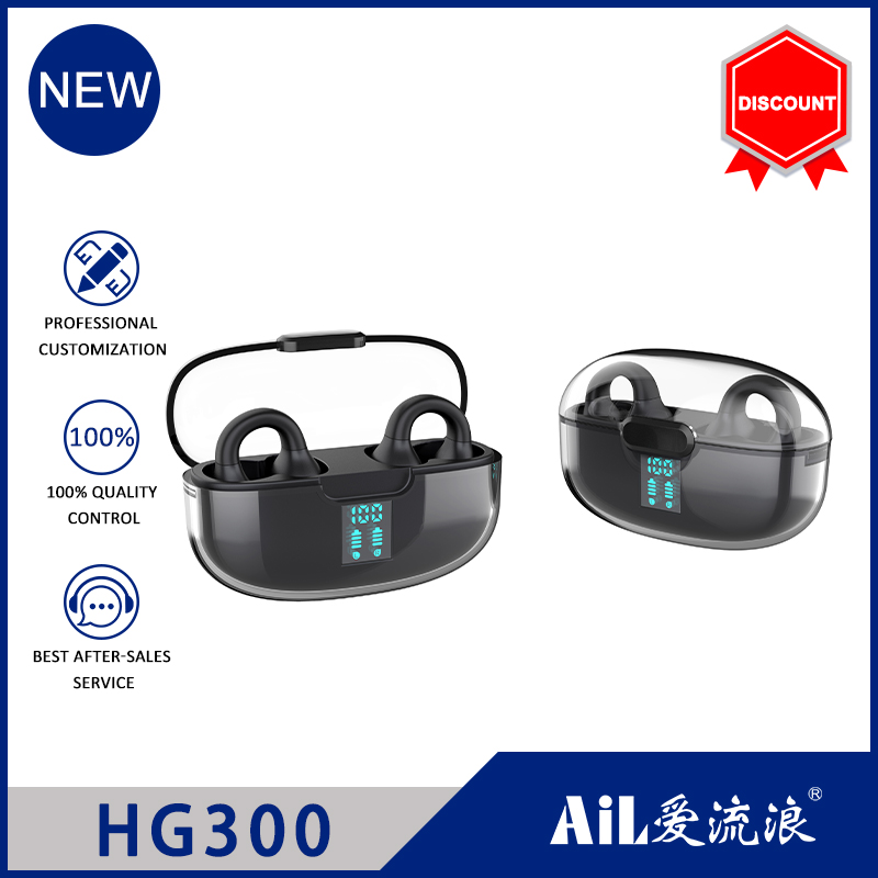 HG300